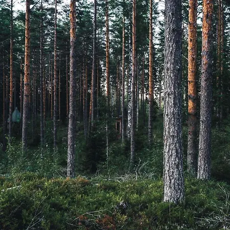 Remote Lakeside Bell Tent With Outdoor Sauna In Finland Feriehus *