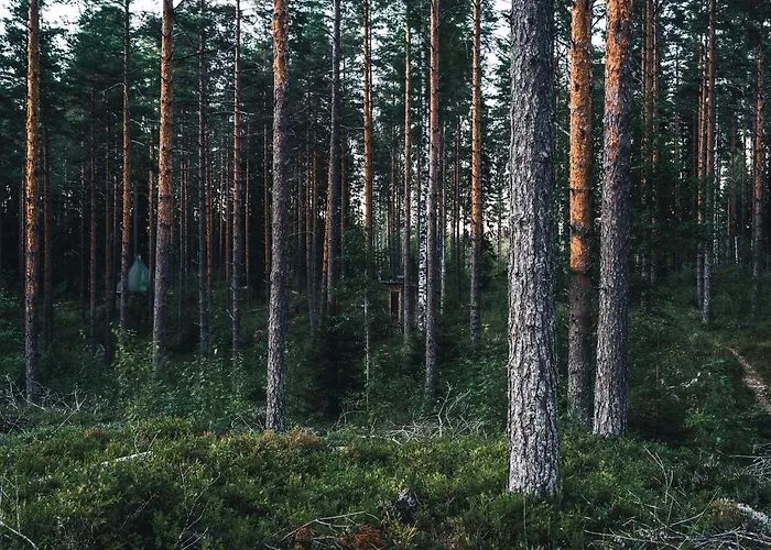 Remote Lakeside Bell Tent With Outdoor Sauna In Finland בית נופש *